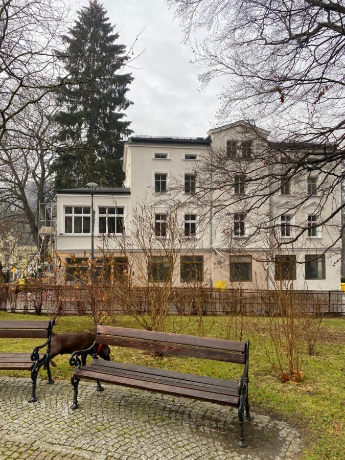 Cienista 7 Apartments Льондек-Здруй Екстер'єр фото