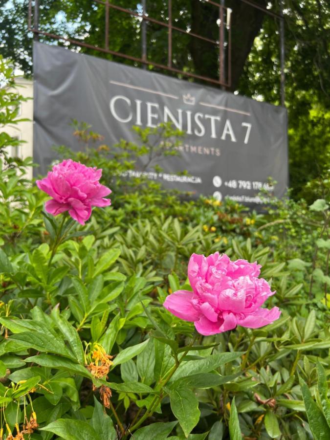 Cienista 7 Apartments Льондек-Здруй Екстер'єр фото